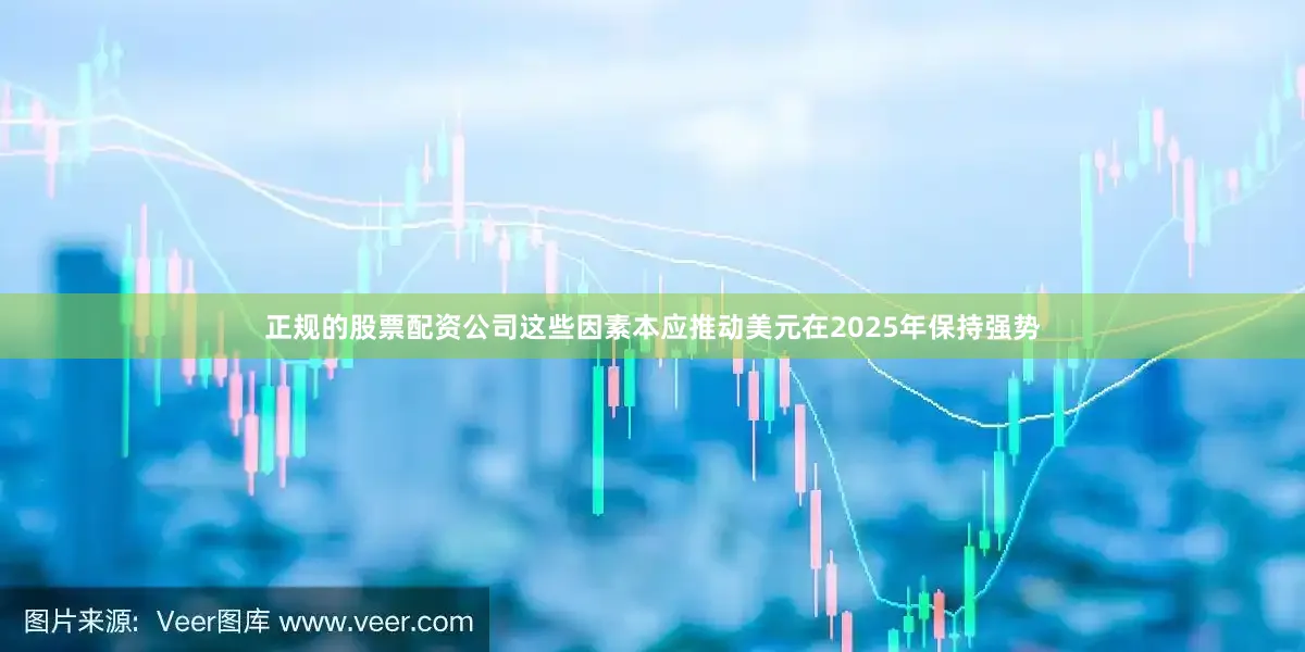 正规的股票配资公司这些因素本应推动美元在2025年保持强势