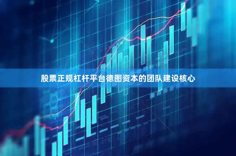 股票正规杠杆平台德图资本的团队建设核心