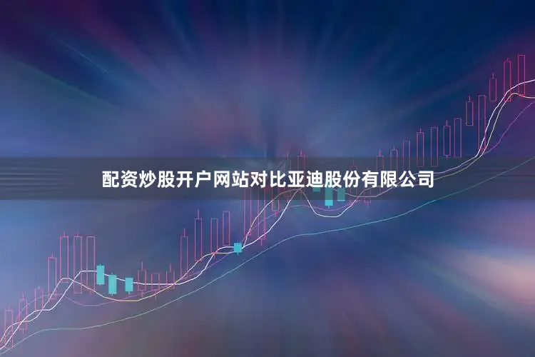 配资炒股开户网站对比亚迪股份有限公司